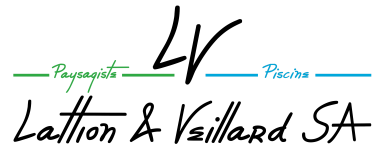 Logo 2020 lattion veillard